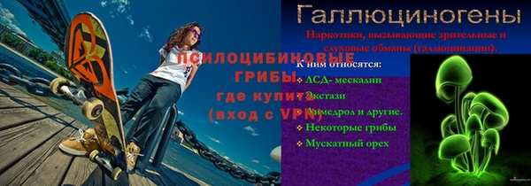PSILOCYBIN Кинешма